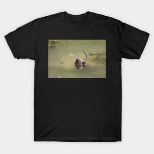 The Watcher T-Shirt